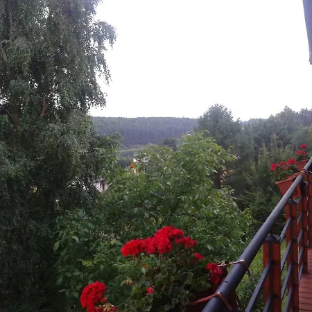 Dom Nad Jeziorem W Lesie * Chwaszczyno
